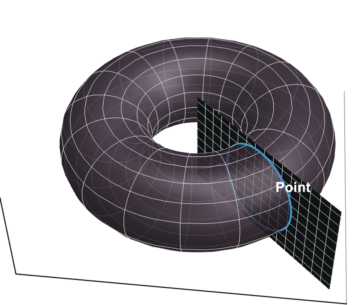 torus side
