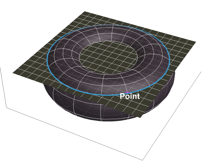 torus side